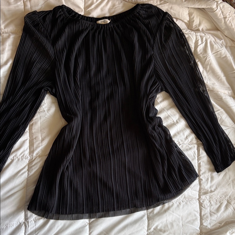 Terra & Sky Black Pleated Long-Sleeve Blouse
